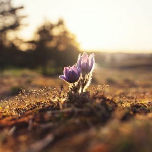 Intro MSC Course